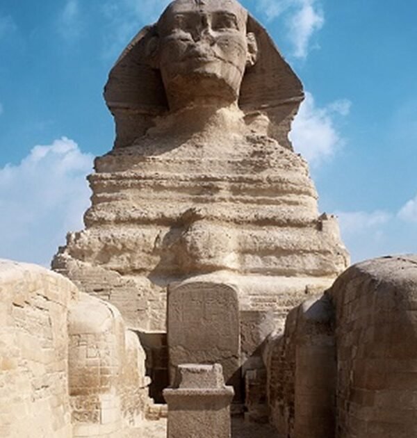 Great Sphinx on a private Cairo and Alexandria tour