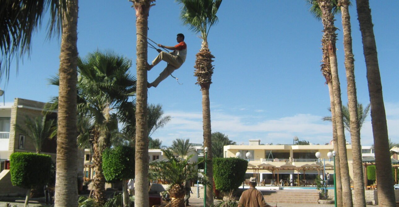 Egypt Tour Packages for Seniors: Comfortable Private Trips and Slow-Paced Options