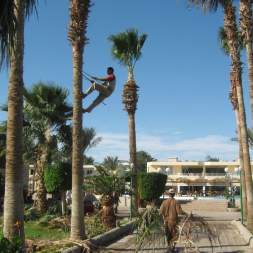Hurghada Red Sea coast in Egypt