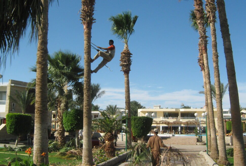 Hurghada Red Sea coast in Egypt