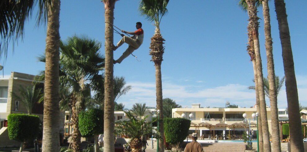 Hurghada Red Sea coast in Egypt